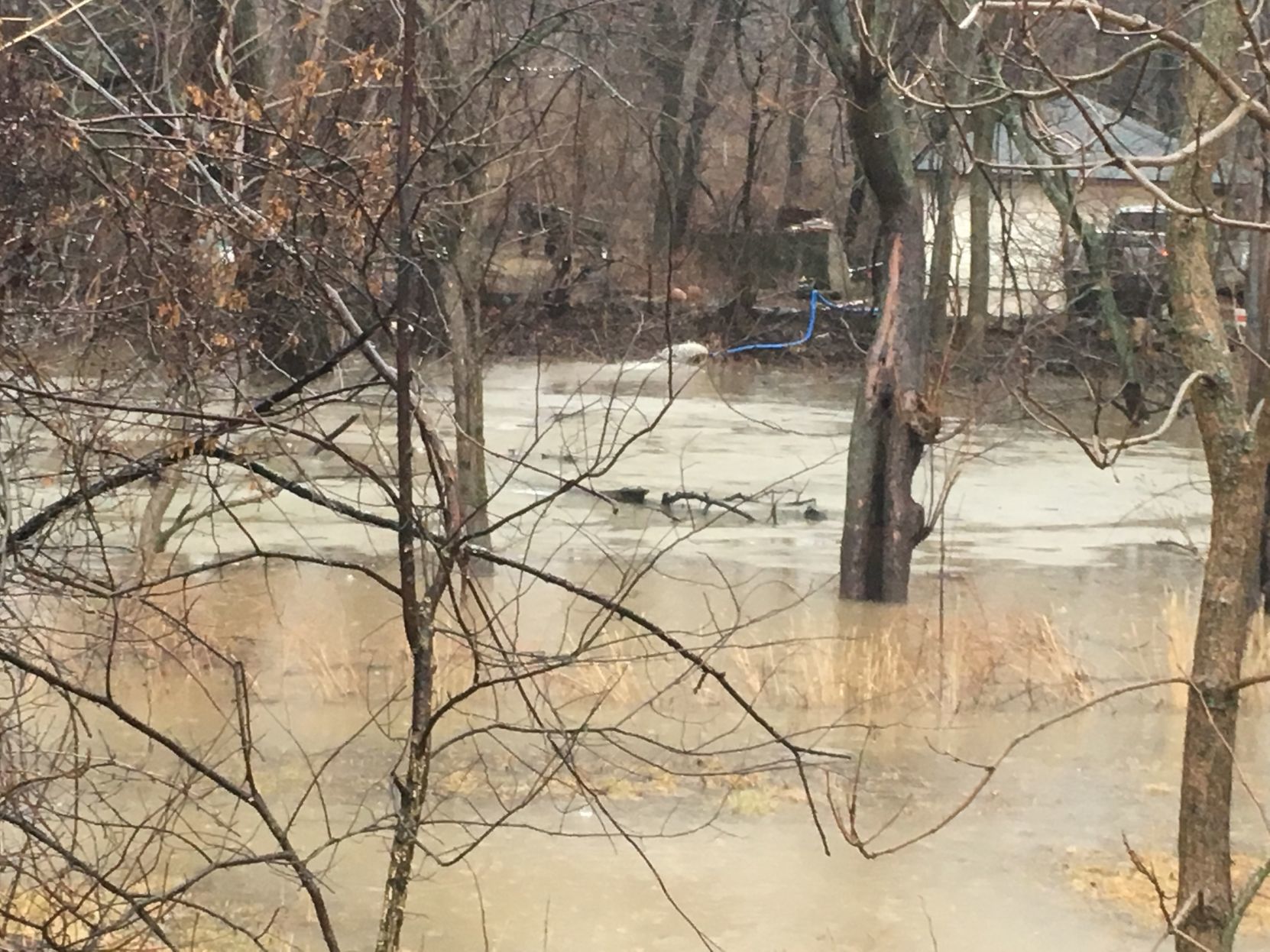 Flood
